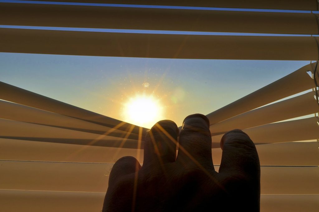 Roller Blinds