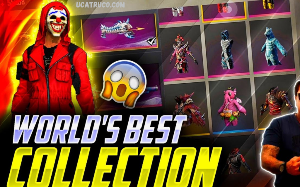 FF Collection